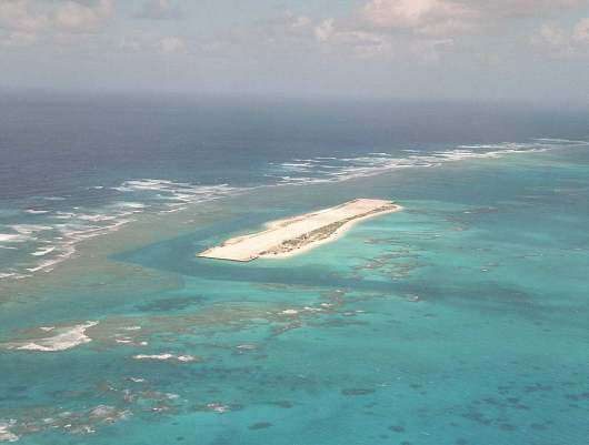 tern2lra French Frigate Shoals