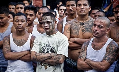 MS-13 members