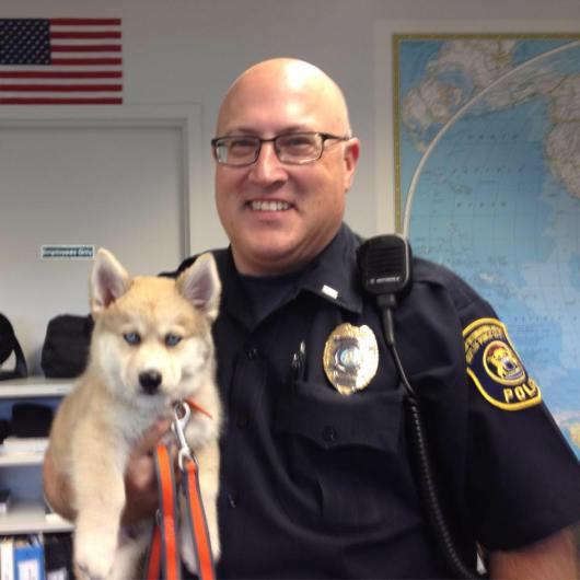 12208477_10207102560177646_1871299770447531667_n